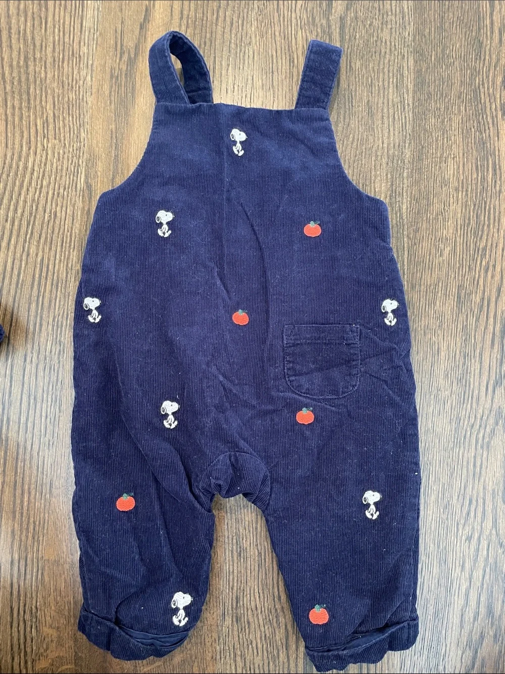 Janie and Jack Fall Sibling Set